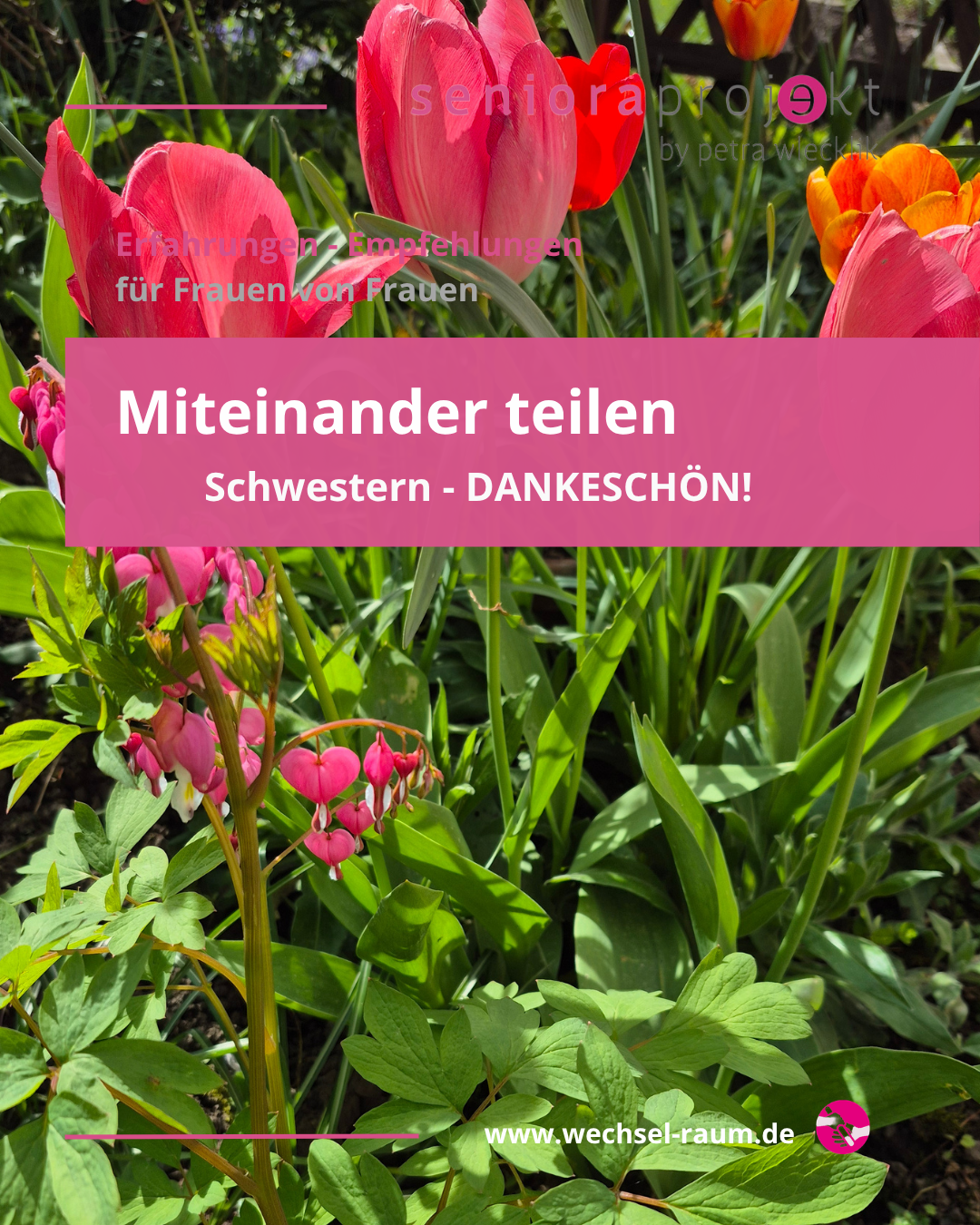 Bild zum Beitrag Unter Schwestern!