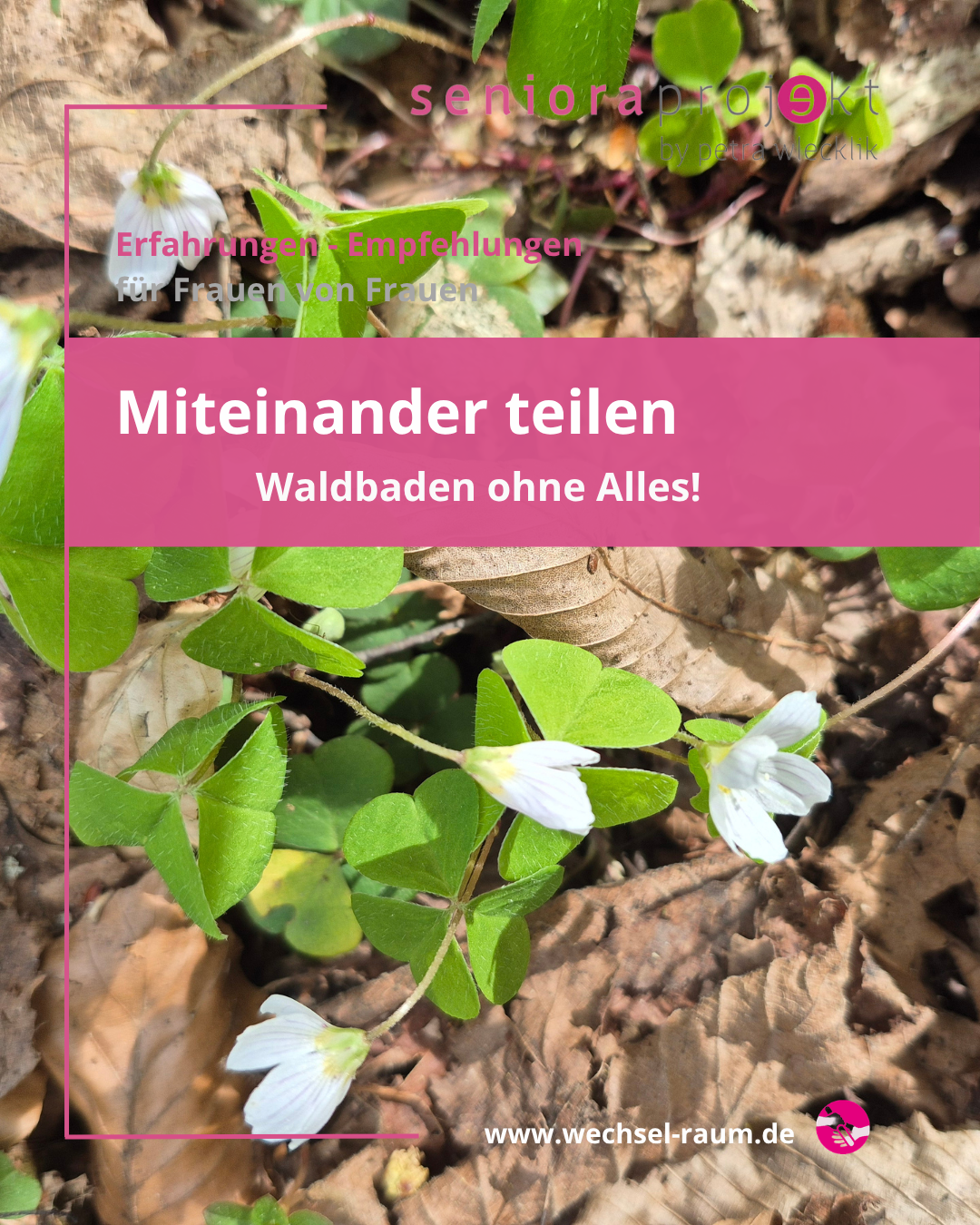 Bild zum Beitrag Waldbaden – mit Sabine Fuchs